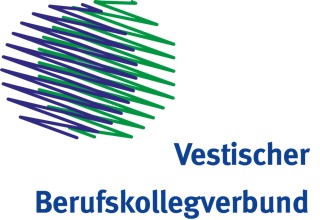 vbv logo 03